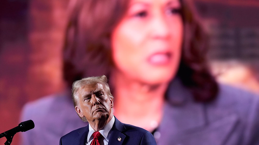 Kamela Harris og Donald Trump